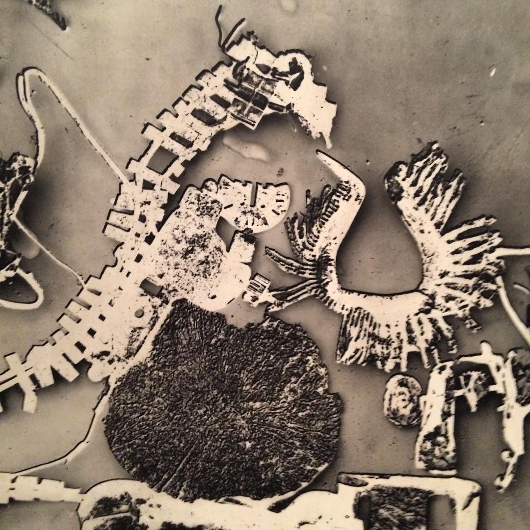 Nigel Henderson.  Planta Delta No. 5, 1961.