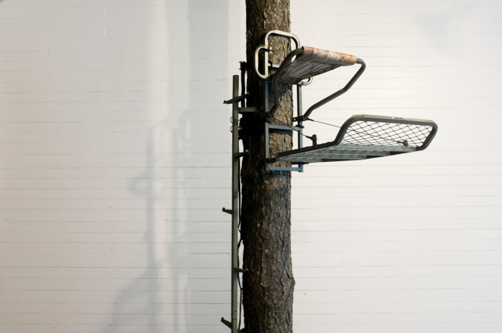 Playgrounds - Michelle Kohler